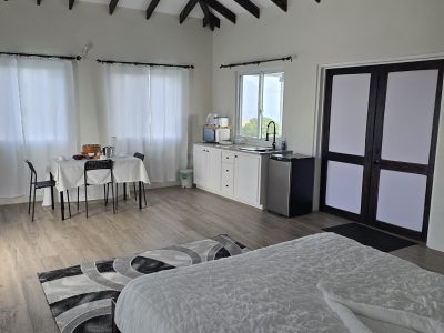 SkyView Suite