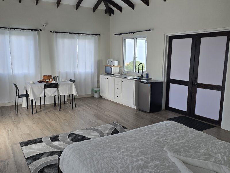 SkyView Suite