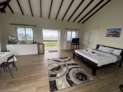 SkyView Suite