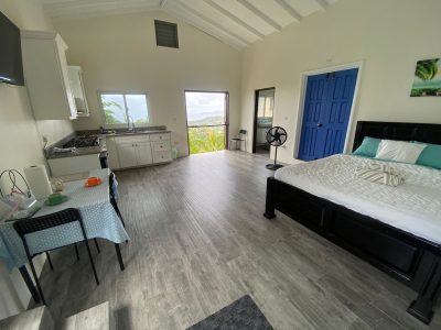 MoonView Suite