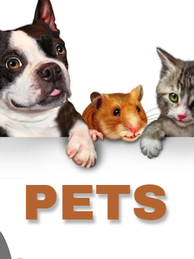 Pet Care & Grooming
