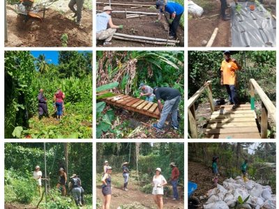 Eco Home Gardens